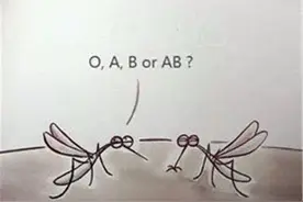 在野外呆一晚上，会不会因为被蚊子吸血导致失血过多而死亡呢？图片