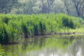 就在今晚！“黄河华山 家在渭南”2023渭南文化旅游（西安）宣传推介活动敬请期待！图片