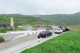 视频|锡矿山菊花盛开引客来图片