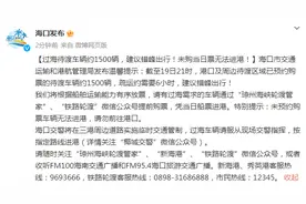 海口过海待渡车辆约1500辆，建议错峰出行！未购当日票无法进港图片