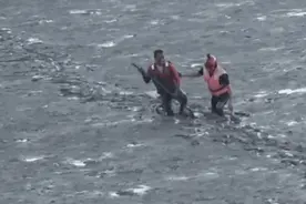 别不信！赶海真的会让人“无法自拔”……图片