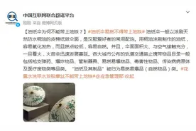 油纸伞为何不能带上地铁？图片