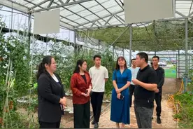 西安高新区科技特派员：以科技创新助推农业现代化 助力乡村振兴图片