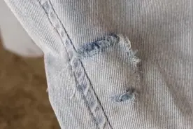 上海一女孩被狗咬伤，狗主人否认：认错狗！维权陷入僵局怎么办？图片