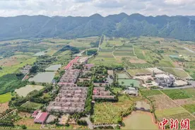 （高质量发展调研行）走进江西峡江金坪民族乡：紧扣民族团结主题推进产业融合发展图片