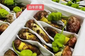 买野生菌免费赠送青椒大蒜火腿片，网友：这很云南！图片