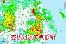 强降雨使上海部分进出港航班受影响图片
