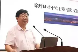 中央首提把民营经济做大做优做强，意义重大图片