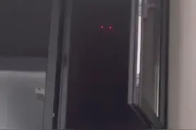 夜晚窗外突然出现“一双眼睛”？大连女子吓了一跳，仔细看竟然是...图片