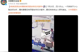 狗狗到派出所蹭饭被民警安排反诈宣传图片