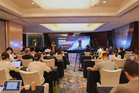 海外可再生能源投资迎新机 中国输出“绿值”为全球低碳转型赋能图片