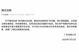 电杆建在农田、蚕食农田？广东电网公司：成立联合调查组图片