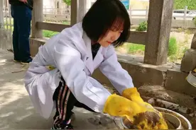 清河复东流丨小清河“寻鱼记”图片