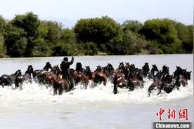 新疆伊犁旅游新场景“天马浴河”成网红打卡点图片