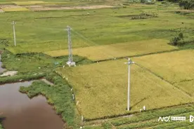 基杆塔占用农田，只是个别现象吗？图片