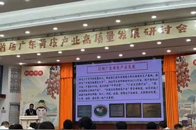 关于黄皮产业高质量发展，专家有话说图片