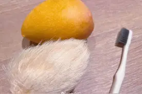 最近流行给芒果核梳毛？评论区亮了图片