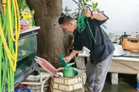 小辰光，家里有一口井，夏天该有多爽！图片