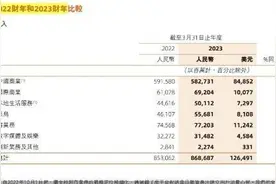 阿里重寻增长引擎：国际商业扛大旗，菜鸟权重提升？图片