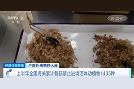 多地已截获，严重或致死亡！｜武汉日历图片