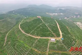 把“土特产”三个字琢磨透|湖南日报图片