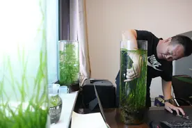 （新华全媒+）新时代中国调研行·长江篇｜守护“长江之肾”的“洞庭麻雀”图片