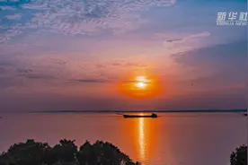 长江行丨守护“长江之肾”的“洞庭麻雀”图片