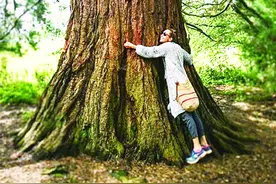到圣诞老人的故乡抱树减压图片