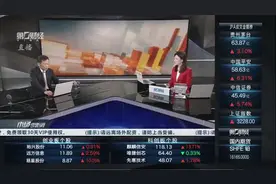 刘刚：看好汽车 半导体 人工智能板块视频封面