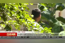 中年男子网上遇“真爱”，女友怀孕后却不想结婚，他一打听傻眼了图片