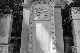 利玛窦墓园里的柏树与楸树图片