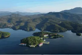 来孝感打卡山水田园，赴一场康养之旅~图片