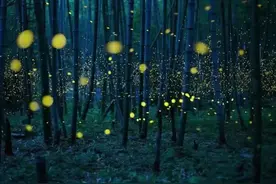 文学|腐草为萤图片