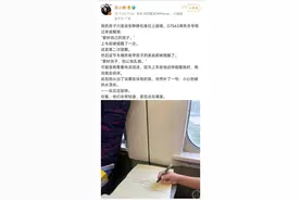 坐动车被两次提醒“管好小孩”，作家向12306投诉图片