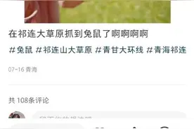 萌萌哒？游客手抓鼠兔拍照，疾控部门提醒：危险！图片