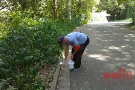 柳州近期有蜈蚣出没！小心被咬伤！图片