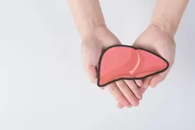 感染乙肝病毒，就一定是肝炎，只能分手吗？图片