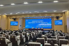 佛山禅城：三年300个项目，建设城市品质、格调“双一流”图片