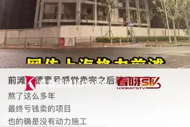 上海前滩格力海德壹号楼盘开发商停工跑路？图片