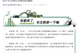 讲礼貌，真的很重要！图片