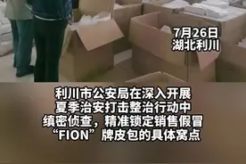 男子开网店销售假冒伪劣品牌包，涉案金额达640万图片
