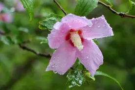 瞰天下｜高温、暴雨、狂风频发，极端天气是不是气候变暖惹的祸？图片