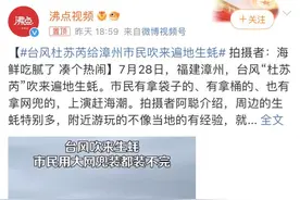 福建沿海台风吹来的遍地生蚝，到底从何而来？能不能吃？图片
