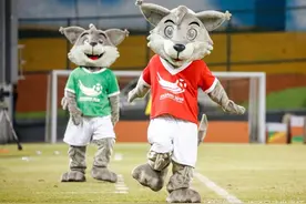 冷知识！成都大运会为什么没有足球比赛？图片