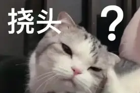 自取还是邮寄？补办身份证花钱就能提前？上海警方回应→图片