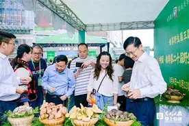 @昆明人 南华县长邀你8月来吃菌图片