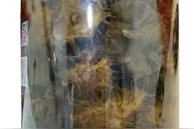 男子喝了两口，看见去世多年的“太奶奶”在和他招手图片