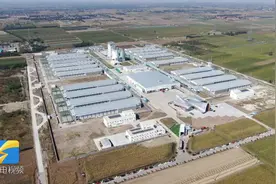 潍坊：省重大项目“开花结果”年产值将超过13亿元 龙头企业强势推动乡村振兴图片