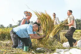 加大投入力度 加强对华合作 非洲国家多举措推动农业发展（环球热点）图片