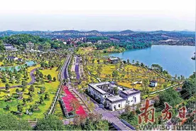 花都赤坭三代人的盆景图片